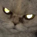 mou_demon mou_demon