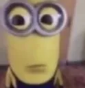 erm