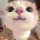 PF_CatSmile