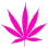 v7pink