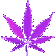 emoji_29
