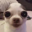 breathing