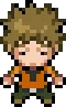 kanto_gym_brock