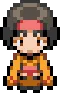 kanto_gym_erika