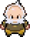 hoenn_gym_wattson