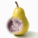 camepear camepear