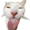 28 28