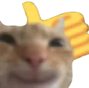 ThumbsUp