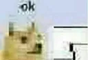 okdoge