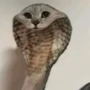 penisman