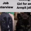armpitjob