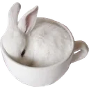 BnuyCup
