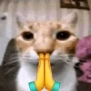 oh_boi