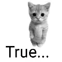 truecat
