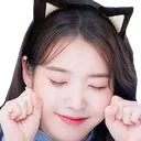 IUcat IUcat