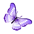 ButterflyPurple