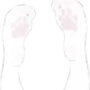 paws