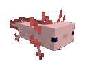 axolotl