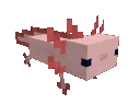 axolotl