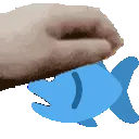petthefish