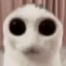 SCalien