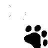 i_paw