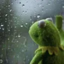 kermit_sad