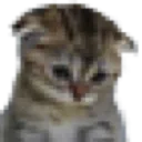 :sad_caf: :sad_caf: