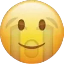 smile_sob