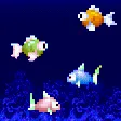 Aquarium