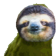 rare_sloth