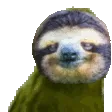 rare_sloth