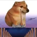 bonkai2