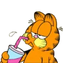 garf_SUCC