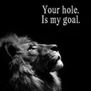 hole hole