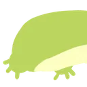 frogbutt
