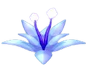 Lotus Lotus