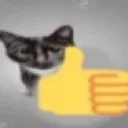 catthumbsup