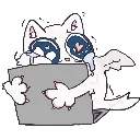 cotton_huggie