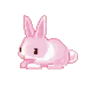 pink_bunny