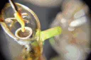 dabby