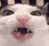 crunch crunch