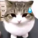 uhoh