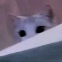 peek peek
