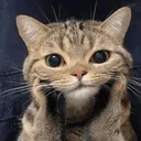 alrightbuddy