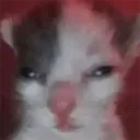 Stare