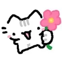 flower_cat flower_cat