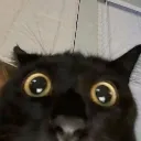1415 1415