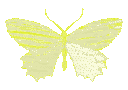 butterflyyellow Discord emoji
