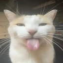 blehh Discord emoji